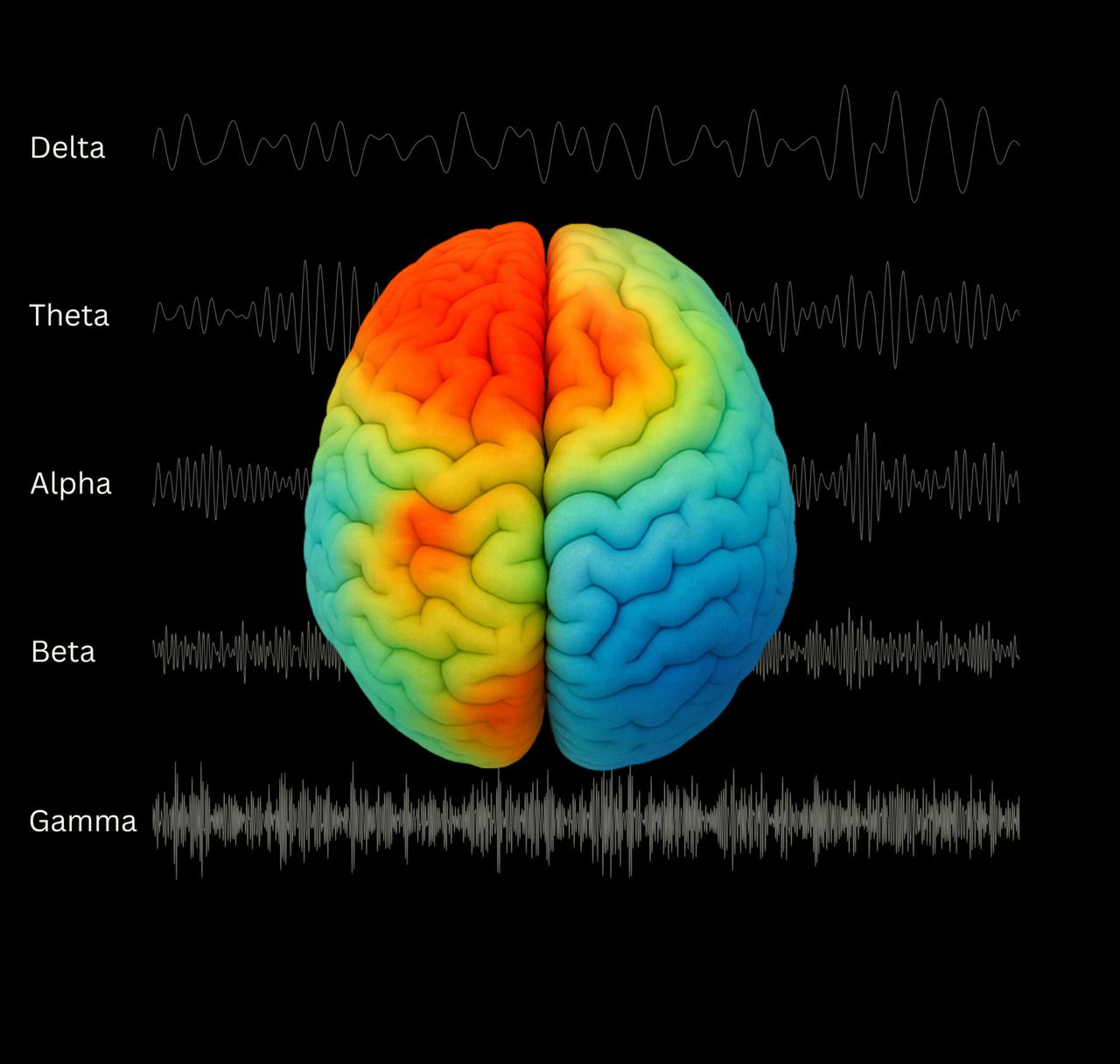 Top-down brain heat map with labeled Delta, Theta, Alpha, Beta, and Gamma EEG wave patterns